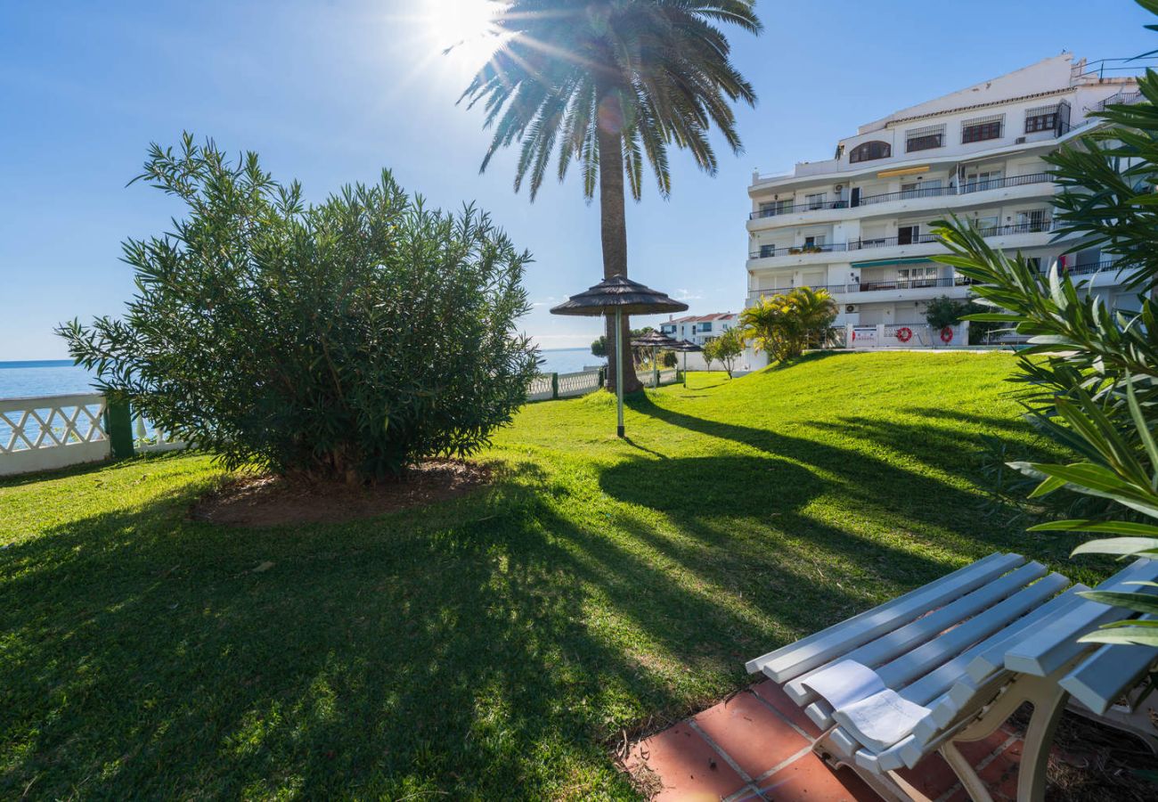 Jardins bien entretenus autour de la piscine du complexe Acapulco Playa