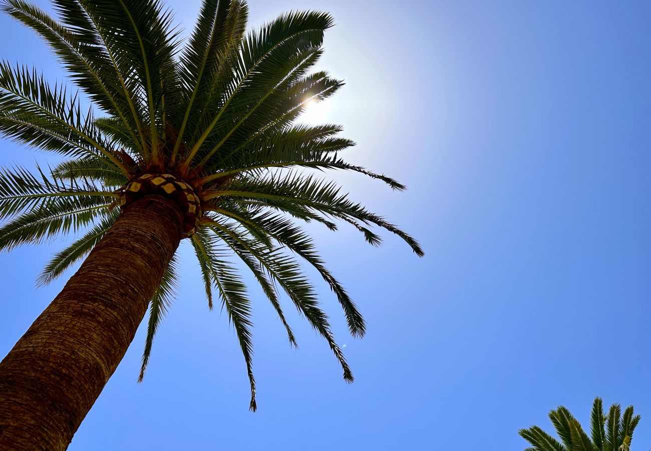 Studio à Nerja - Carabeo 26 Boutique Studio by Casasol 