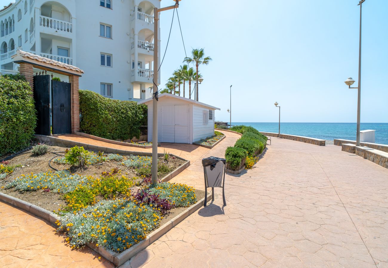 Appartement à Nerja - Stella Maris Beachfront 1J by Casasol 
