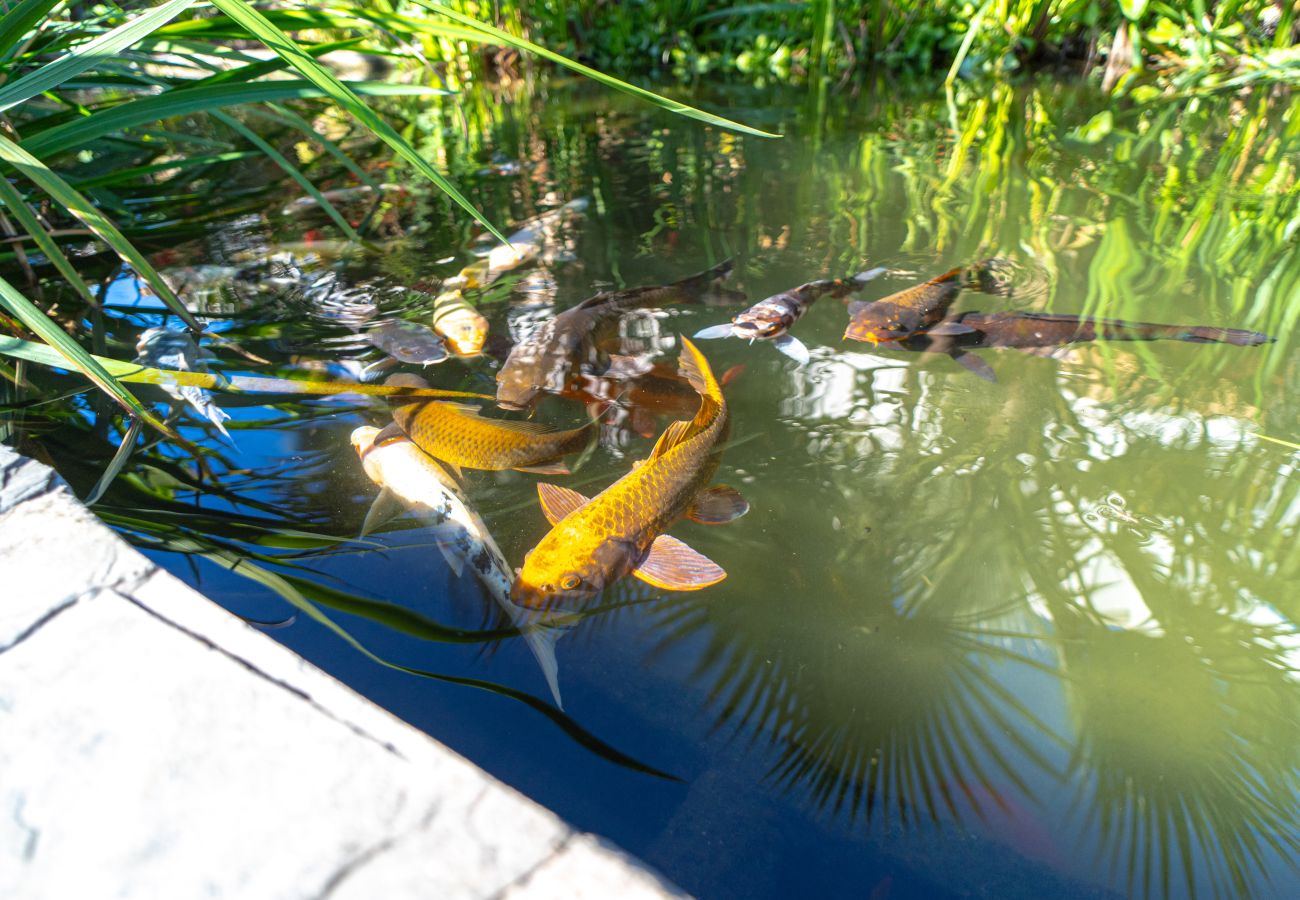 Appartement à Nerja - Casablanca Sunny Terrace by Casasol