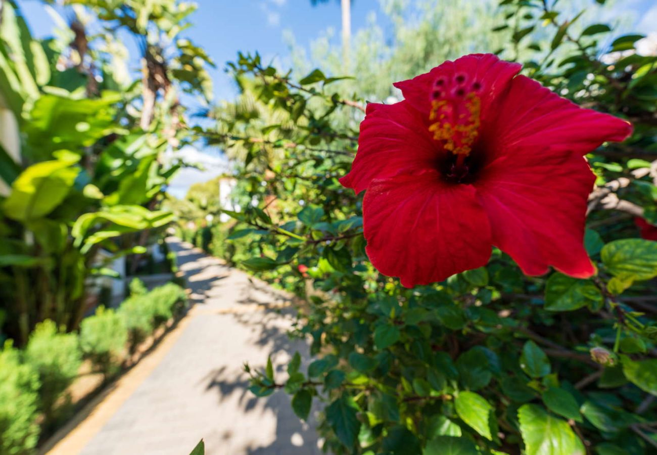 Maison mitoyenne à Nerja - Jardines de Burriana Deluxe by Casasol