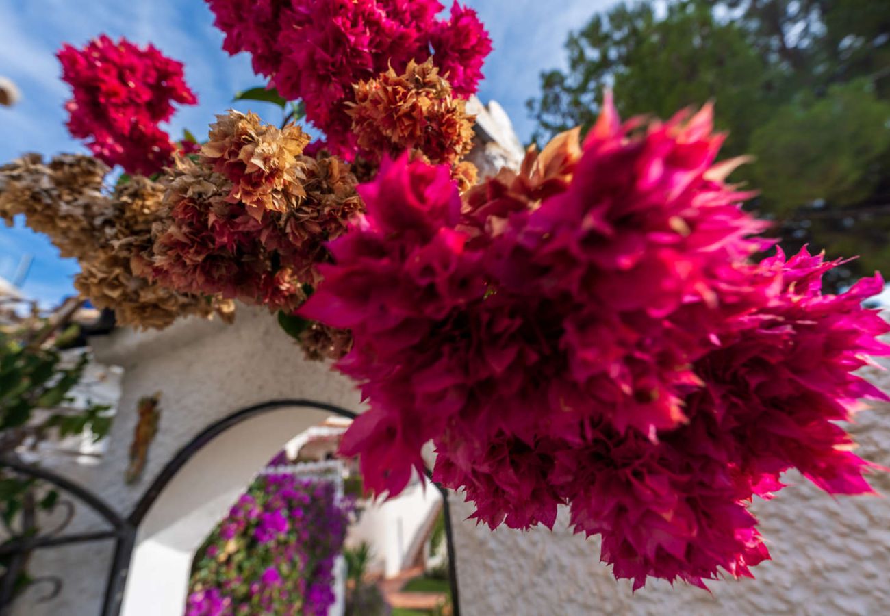 Appartement à Nerja - Casa Tranquila : Appartement avec vue mer à San Juan de Capistrano, Nerja