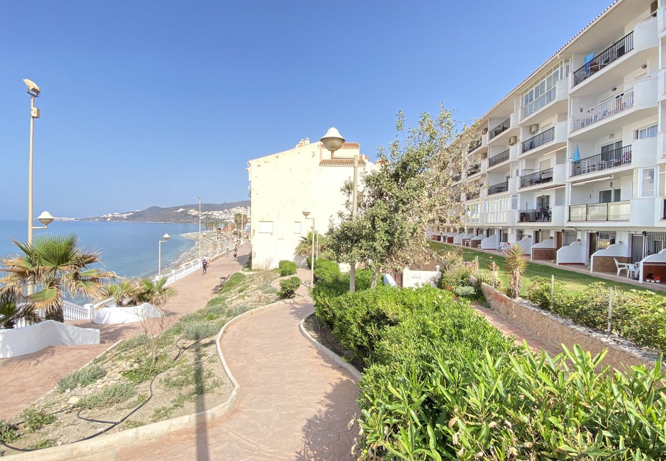 Appartement à Nerja - Appartement Arce I 26 à Playa Torrecilla Nerja avec Vue sur la Mer