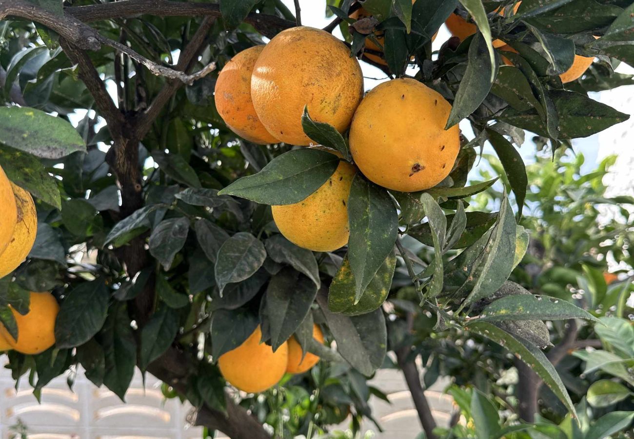 Villa à Nerja - Villa Jackson (La Casita) : Villa avec piscine privée à Fuente del Badén, Nerja